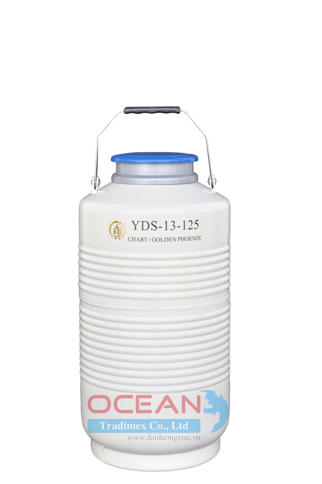 Bình Chứa Ni-tơ Lỏng YDS-13-125